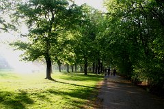 photo 0139